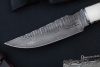 Нож Тарантул дамаск рог Беркут