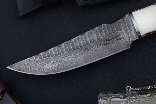 Нож Тарантул дамаск рог Беркут