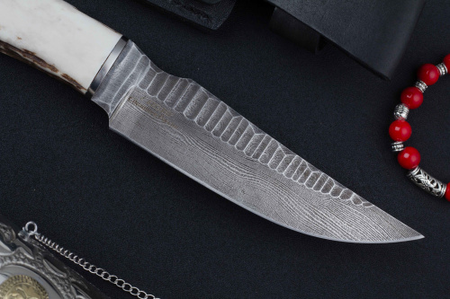 Нож Тарантул дамаск рог Беркут