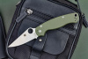 Нож Paramilitary 2 CH зеленый Spyderco