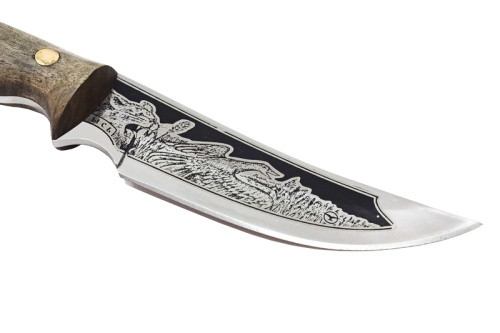 Нож Рысь - 65Х13/орех Беркут Кизляр