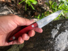 Нож кухонный alexander C AUS-8 Red G10 Russo Knives