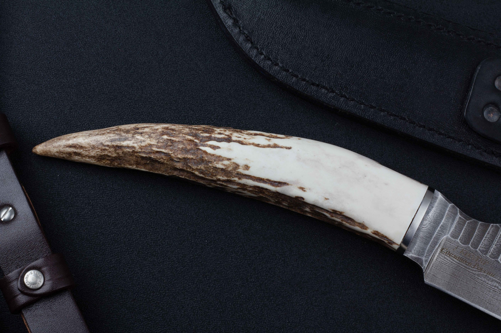 Нож Тарантул дамаск рог Беркут