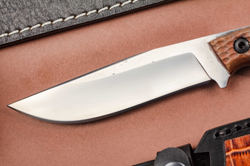 Нож Коршун Х12МФ орех Андреев