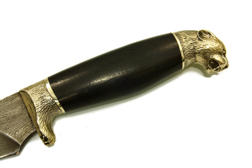 Нож Коготь Сталь Дамаск Нож Коготь Сталь Дамаск