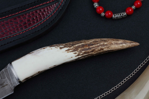 Нож Тарантул дамаск рог Беркут