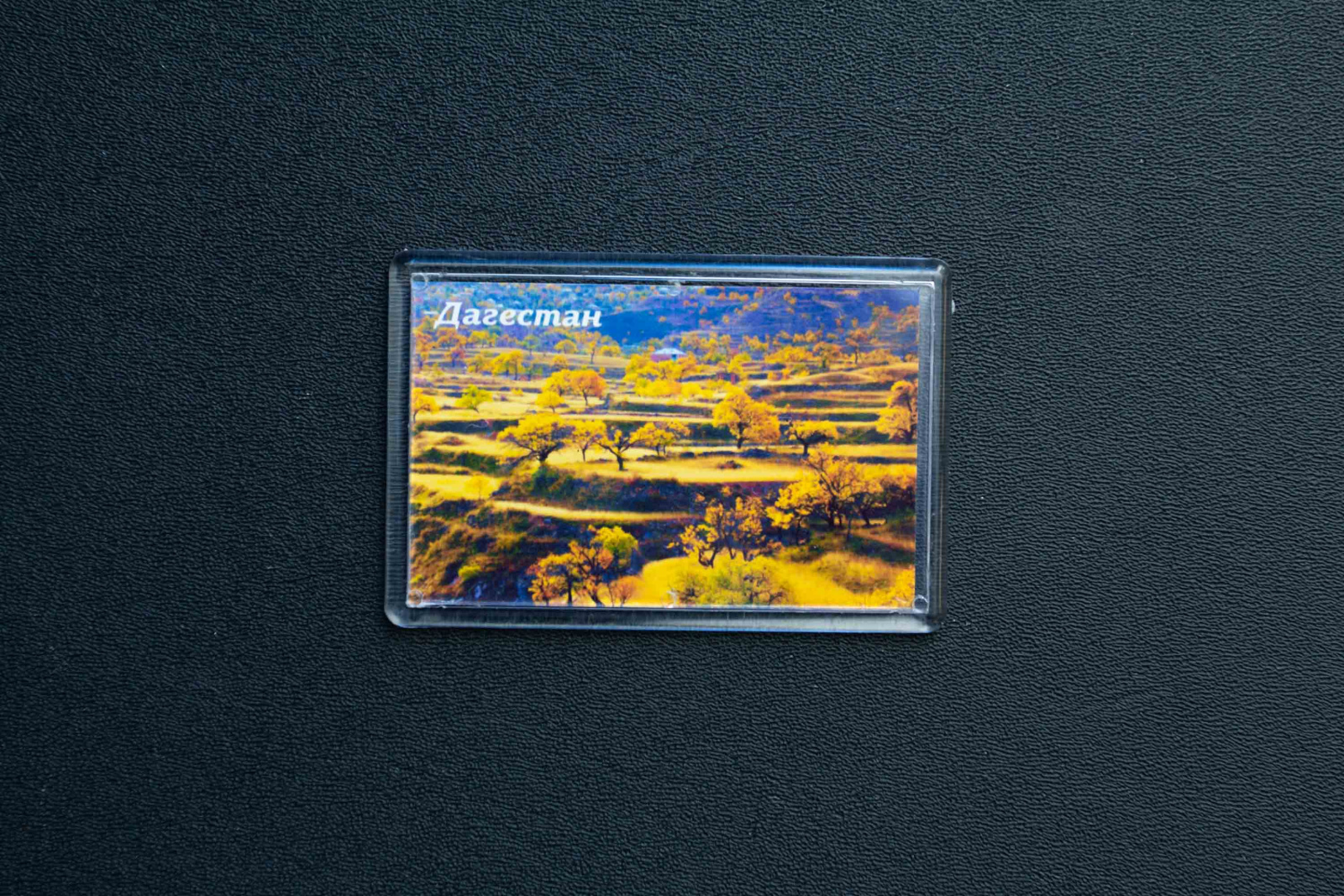 Магнит сувенирный (Дагестан)