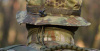 Шапка CPU(Combat Patrol Uniform) Hat - PolyCotton Ripstop Helikon-Tex