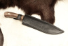 Нож Бойня - Х12МФ/D2 клепанный Беркут Кизляр