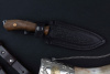 Нож Восток 65Х13 орех клепанный Беркут Кизляр