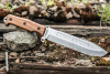 Нож Survivalist X AUS-8 Walnut
