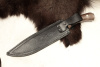 Нож Бойня - Х12МФ/D2 клепанный Беркут Кизляр Нож Бойня - Х12МФ/D2 клепанный Беркут Кизляр